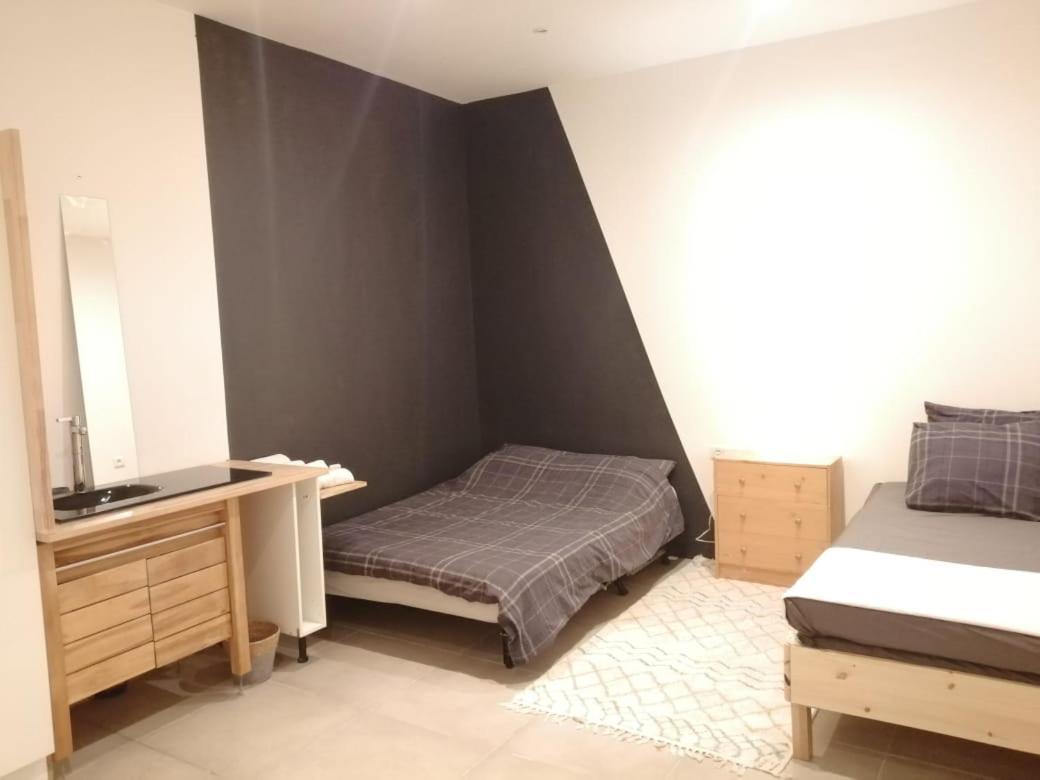 Loft Viarhona, Grand Loft En Centre-Ville ลียง ภายนอก รูปภาพ