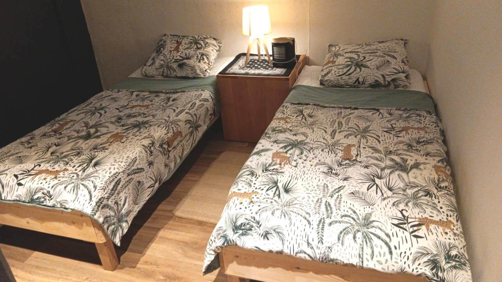 Loft Viarhona, Grand Loft En Centre-Ville ลียง ภายนอก รูปภาพ